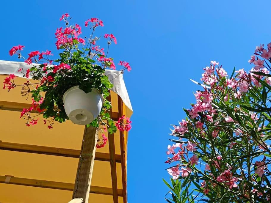 Gambar di galeri bagi Le Lagon Rose nice bungalow Camping SIBLU le Mar Estang Canet-en-Roussillon, 2 rooms, 2 bathrooms, 2 TV, free WIFI, sheets & towels included, beach at 5 mn walk di Canet-en-Roussillon