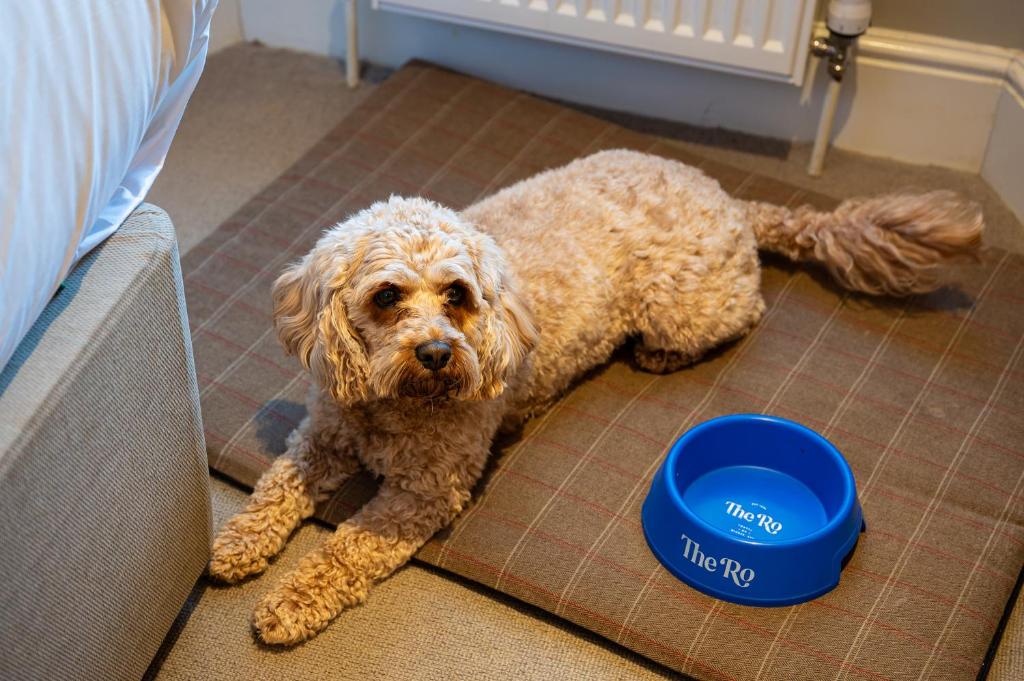 The Ro Hotel Windermere - Resim 19