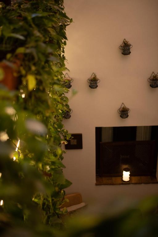 Kép HOTEL BOUTIQUE ALMA ANDALUSí szállásáról Córdobában a galériában