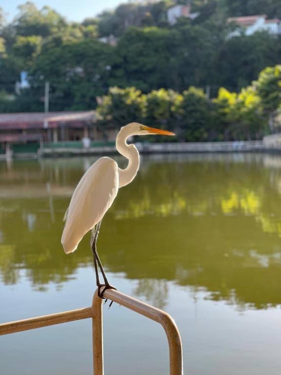 Paisagem natural perto do resort