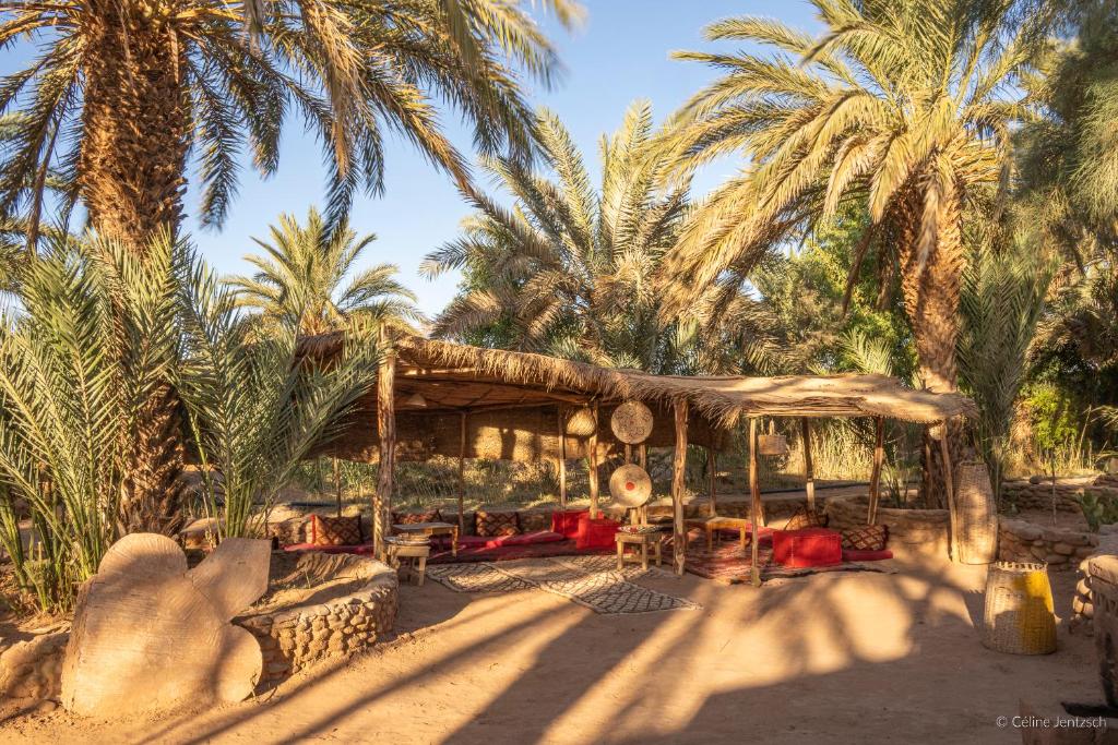 un resort con tenda e alcune palme di Oasis source de vie a M'Hamid