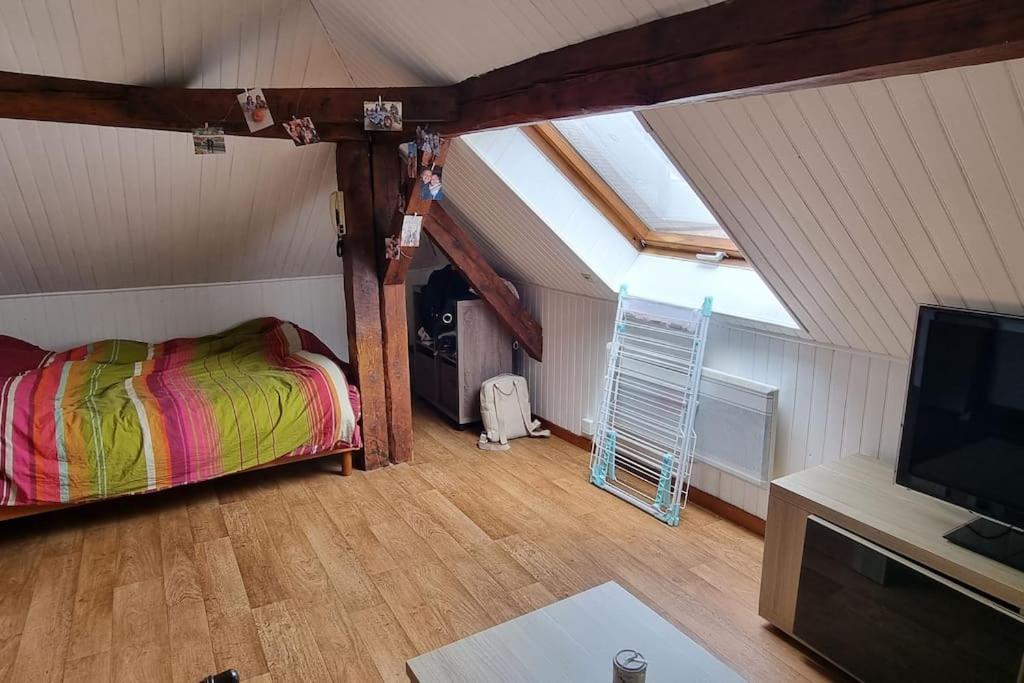 a bedroom with a bed and a tv in a attic at Studio centre ville Schirmeck in Schirmeck