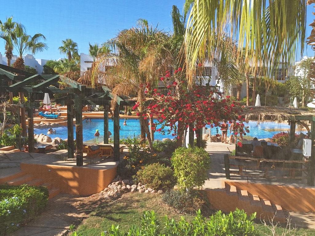 沙姆沙伊赫Delta Sharm luxury pool view apartment Shahrazad的度假村设有棕榈树和游泳池