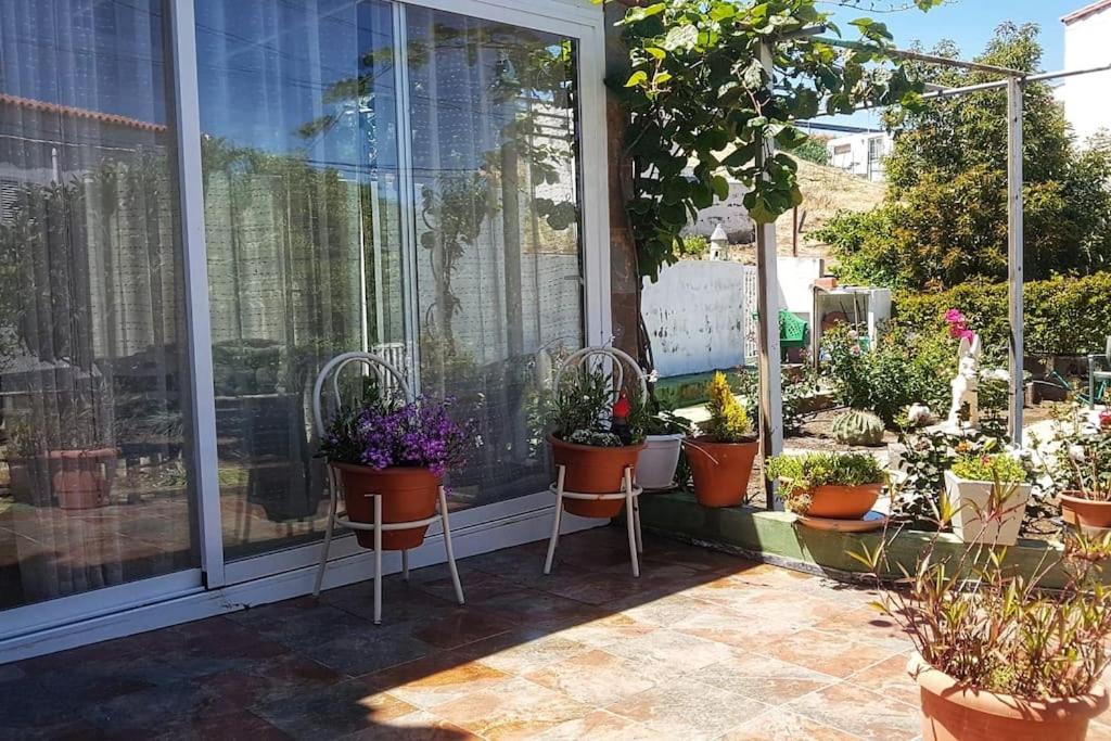 Zahrada ubytování La Casita de Coco Tejeda