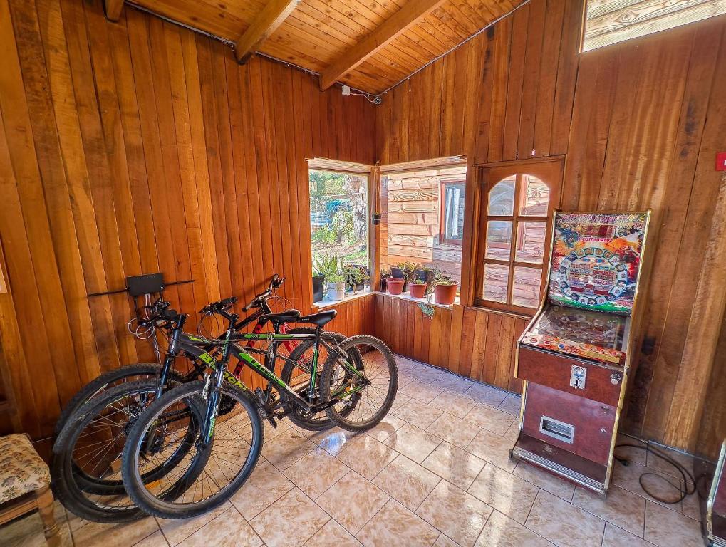 Attività di ciclismo presso l'ostello o nelle vicinanze