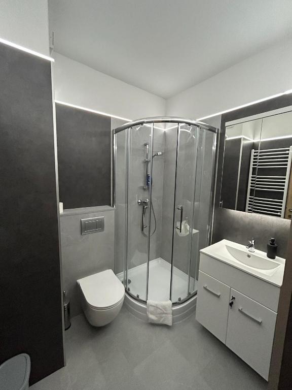 Vannituba majutusasutuses D&D Wellness Apartmanok - Dávid Wellness Apartman