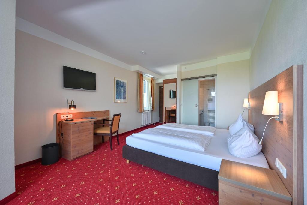 Rothenfels Panorama Hotel - Standard Double Room