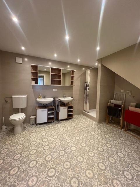 a bathroom with a toilet and a sink and a toilet istg at Serena Monteur Apartment in Rodenbach