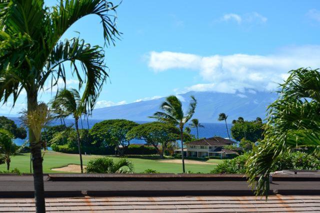 a view of a park with palm trees and a house at Maui Eldorado Condo K207 in Kaanapali