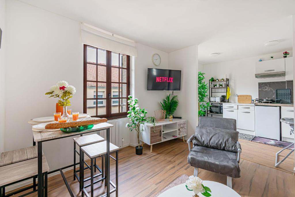 Un televizor și/sau centru de divertisment la Grand logement 38m2, Aéroport Paris CDG, Disneyland Paris 20min, Parc Astérix, 1 Chambre, 1 Salon