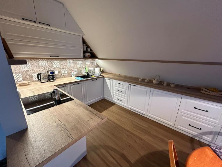 Kuchyň nebo kuchyňský kout v ubytování Vacation apartment in Bruntál for trips & outdoor