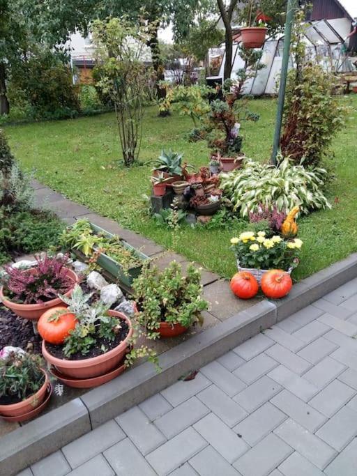 Zahrada ubytování Vacation apartment in Bruntál for trips & outdoor
