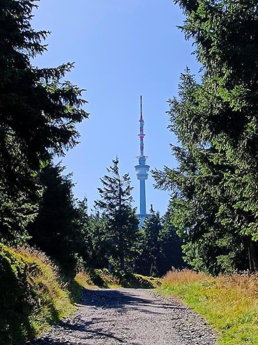 Příroda nedaleko apartmánu