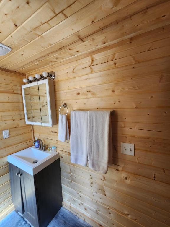 a wooden bathroom with a sink and a mirror at The Rocky Mountain Cabin in Apple Valley