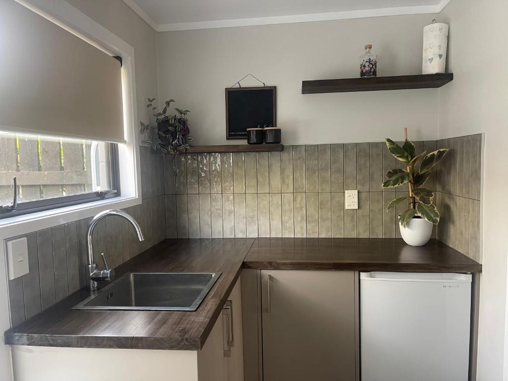 The Parrot Place - The Parrots Nest - Resim 3