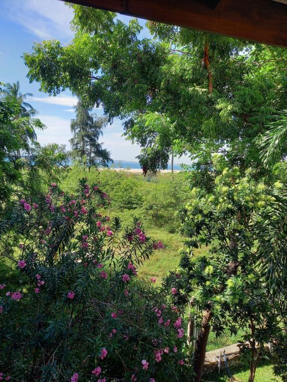 Blue Sands Beach Resort - 11