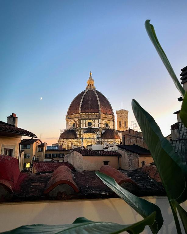 DUOMO 16 view