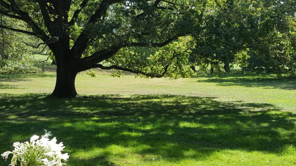 Burnside Homestead - Resim 31