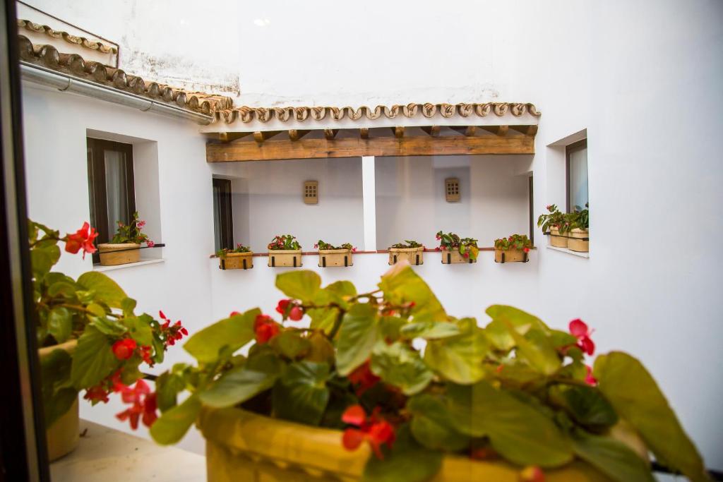 a room with a potted plant on a wall at Hotel Legado Alcazar in Seville