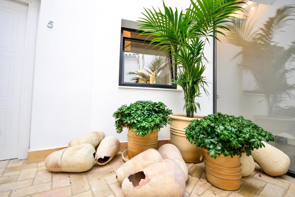 a group of potted plants sitting on a floor at Hotel Legado Alcazar in Seville