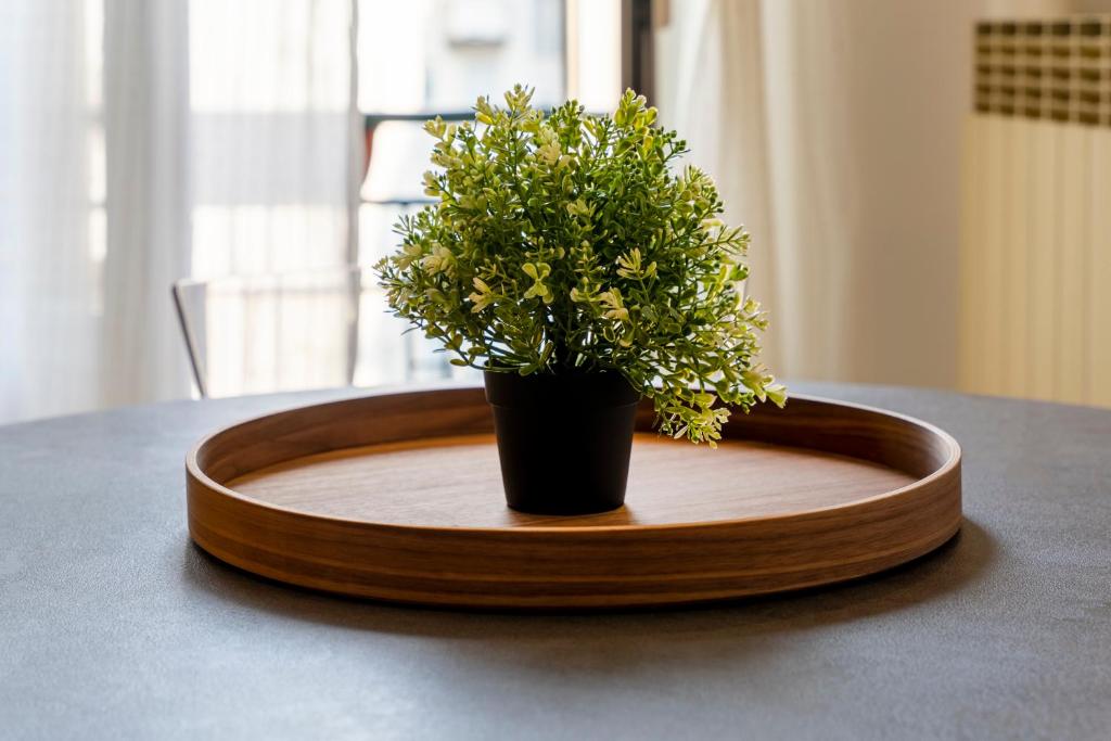 Easylife - Classic and Comfy Porta Romana Flat - Resim 15