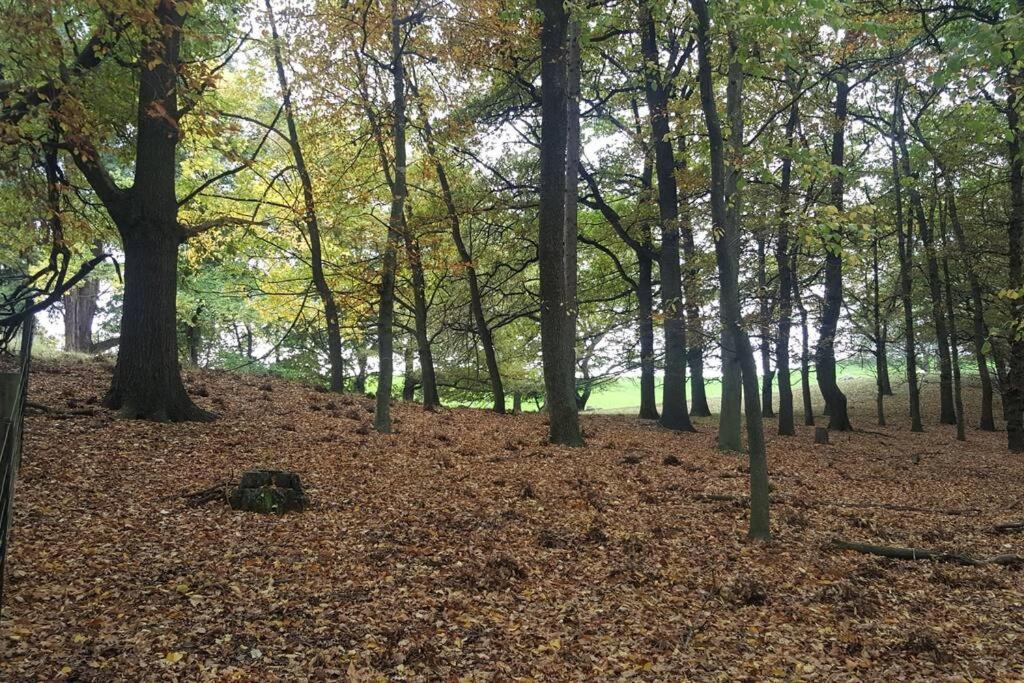 Burnside Homestead - Resim 19