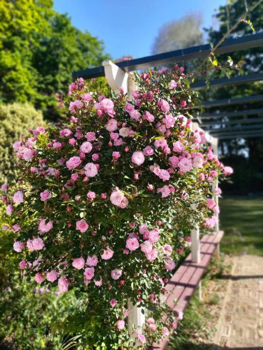 Burnside Homestead - Resim 15