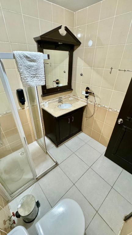 a bathroom with a sink and a shower and a toilet at EPHESUS CENTRUM in Selcuk