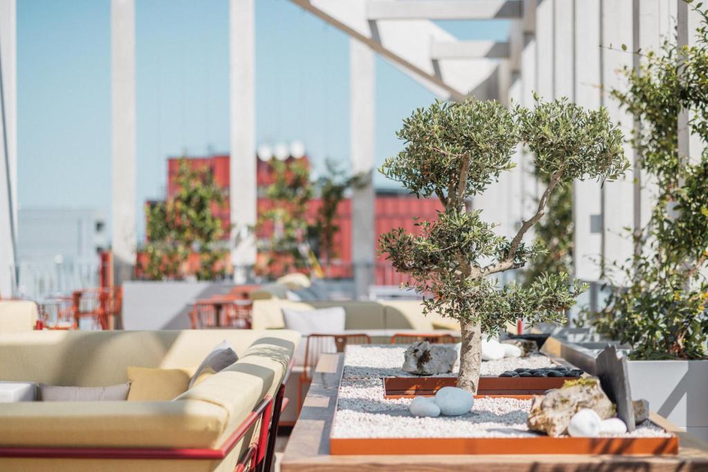 Sangha Toulouse - Resim 14