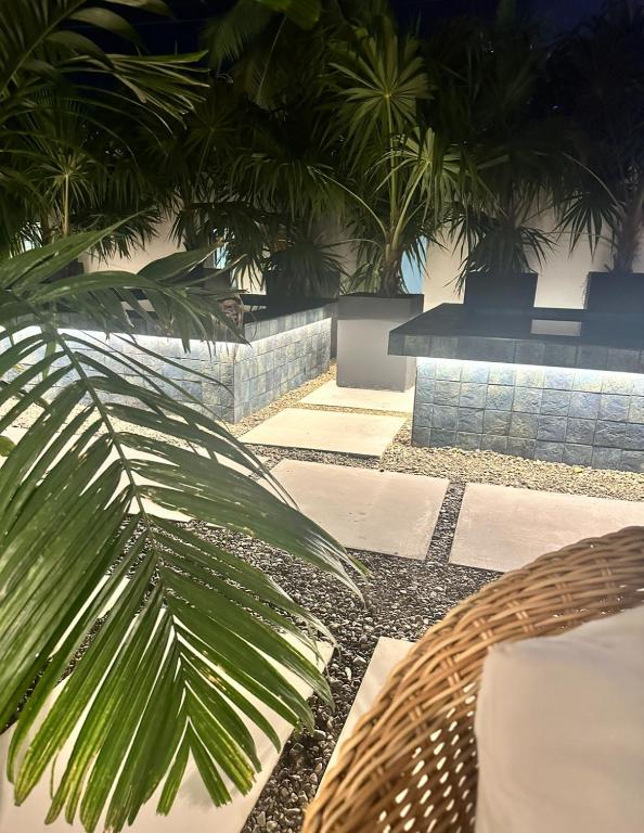a palm tree sitting next to a patio at MAR DEL NORTE in San Juan