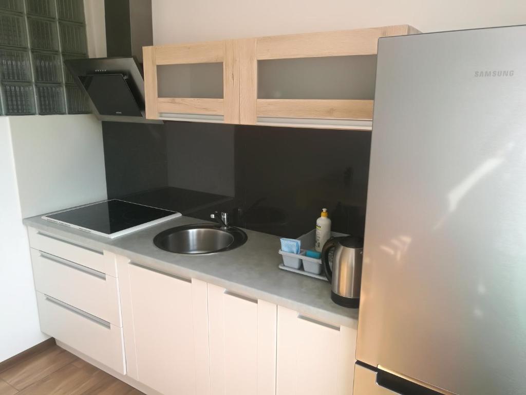 Kuchyňa alebo kuchynka v ubytovaní Mikołajki Apartamenty