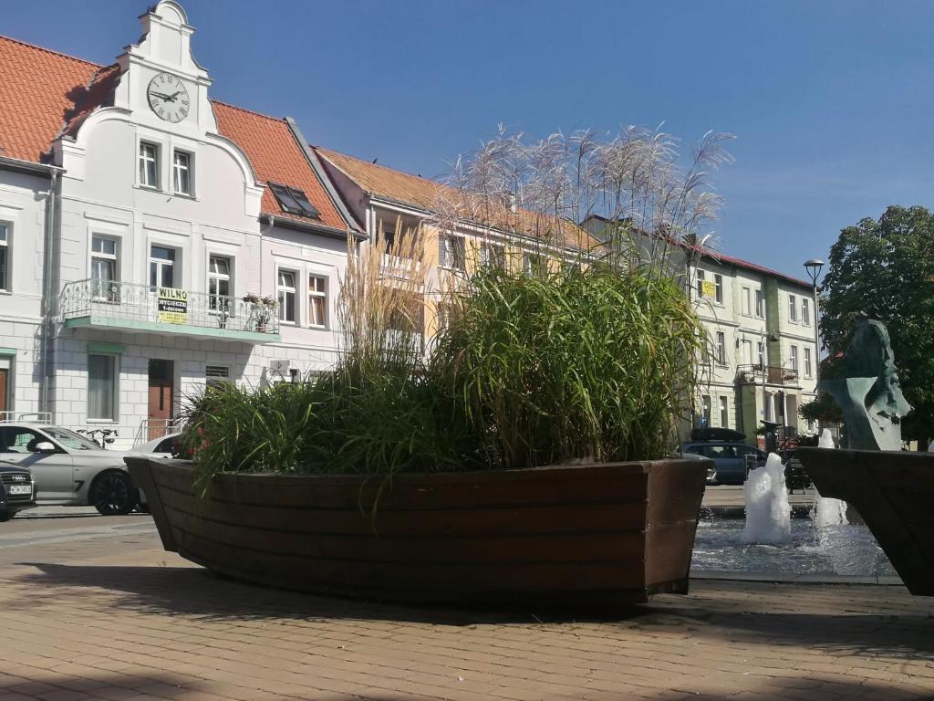 Budova, v ktorej sa apartmán nachádza