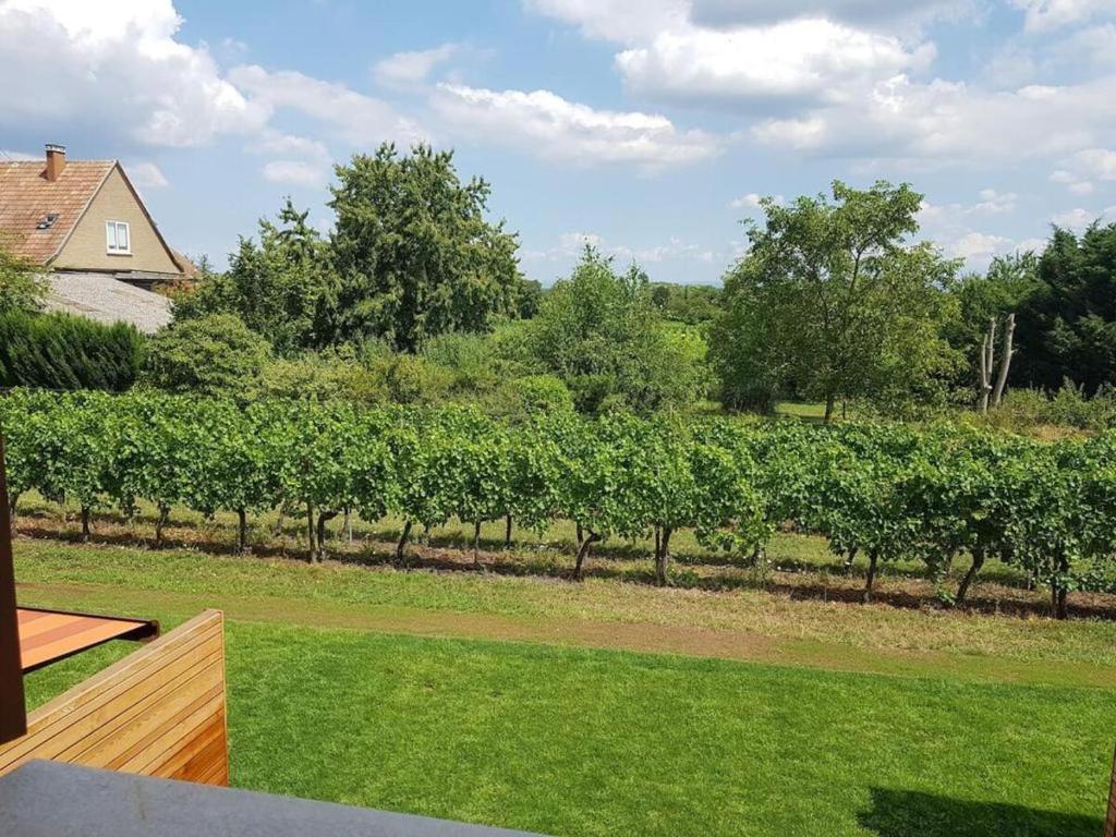 Clos des Vignes – photo 25