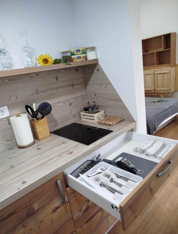 Kuchyň nebo kuchyňský kout v ubytování Glamping Apiturizem Kr'Bee