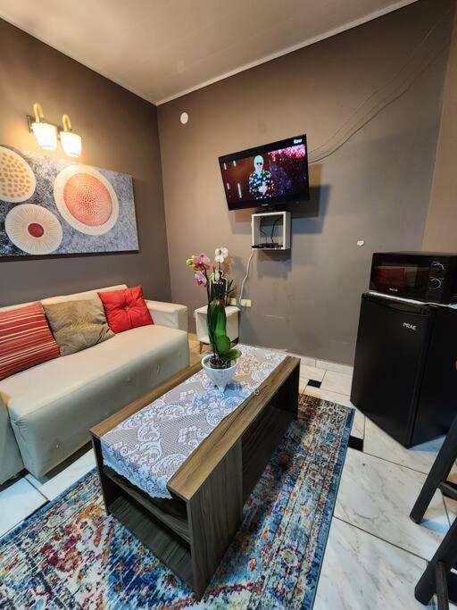 TV a/nebo společenská místnost v ubytování Ivy House Apart Hotel