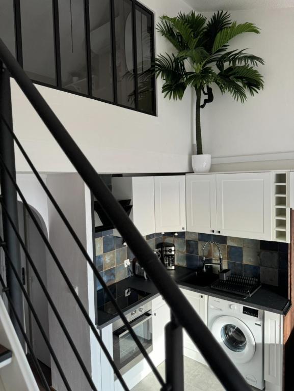 une cuisine avec lave-linge, sèche-linge et palmier dans l'établissement T2 parking privé, centre, plage et gare, à Les Playes