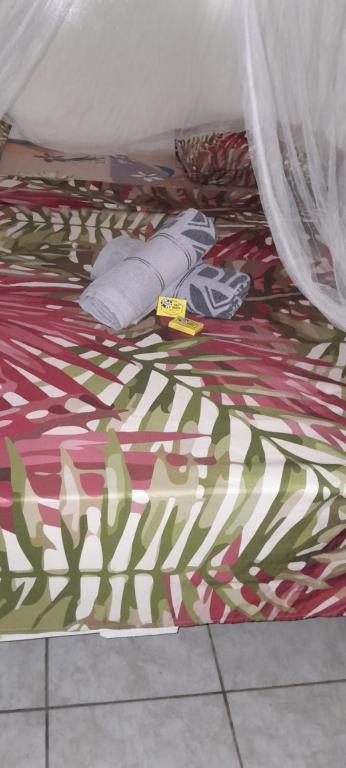 Penu Maurua 2, Te-Fare-Arii