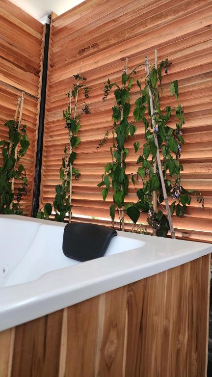 UKO Urban Ekolodge - Habitación Doble Con Vista Al Parque