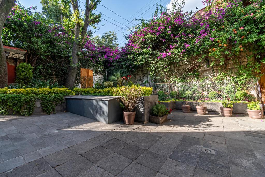 a garden with potted plants and flowers at Terraza & Loft San Ángel in Mexico City