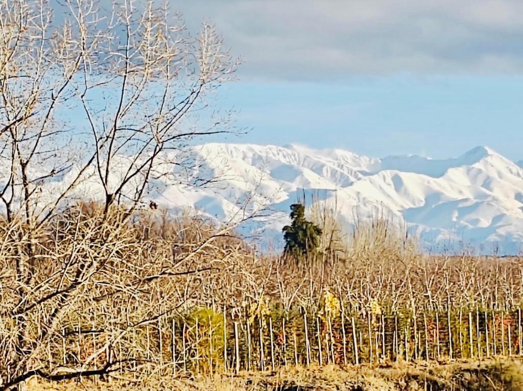 Φυσικό τοπίο κοντά σε αυτό το διαμέρισμα