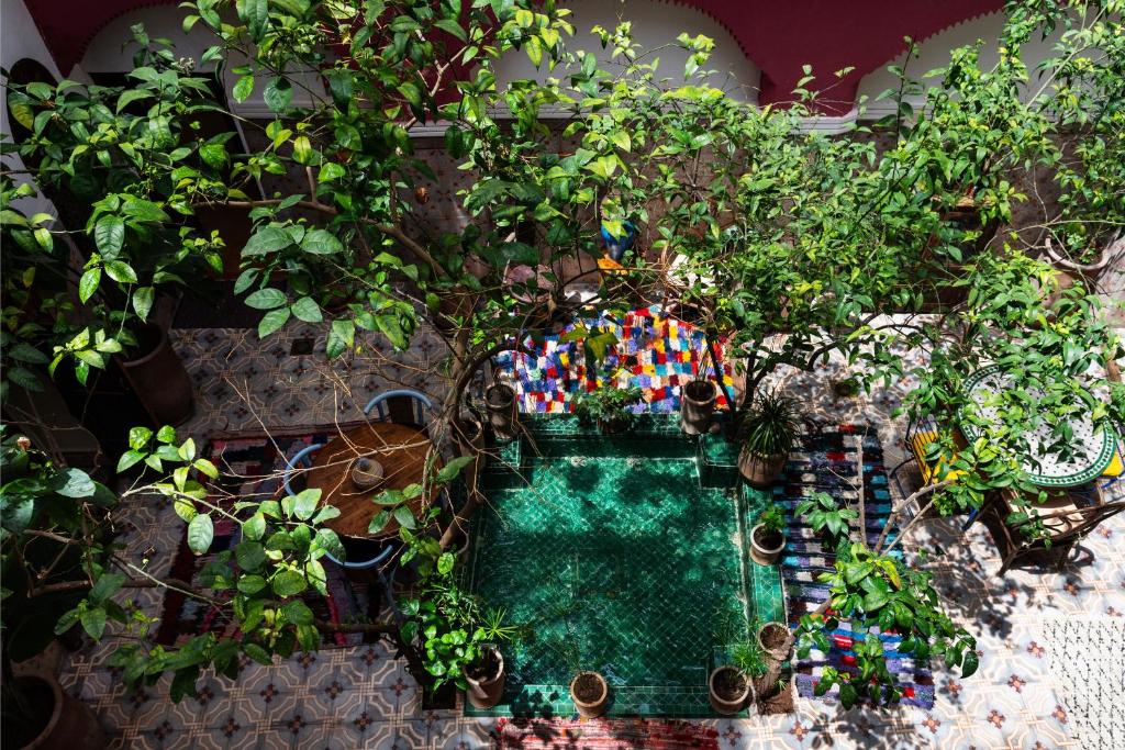 Zahrada ubytování Riad Taghia