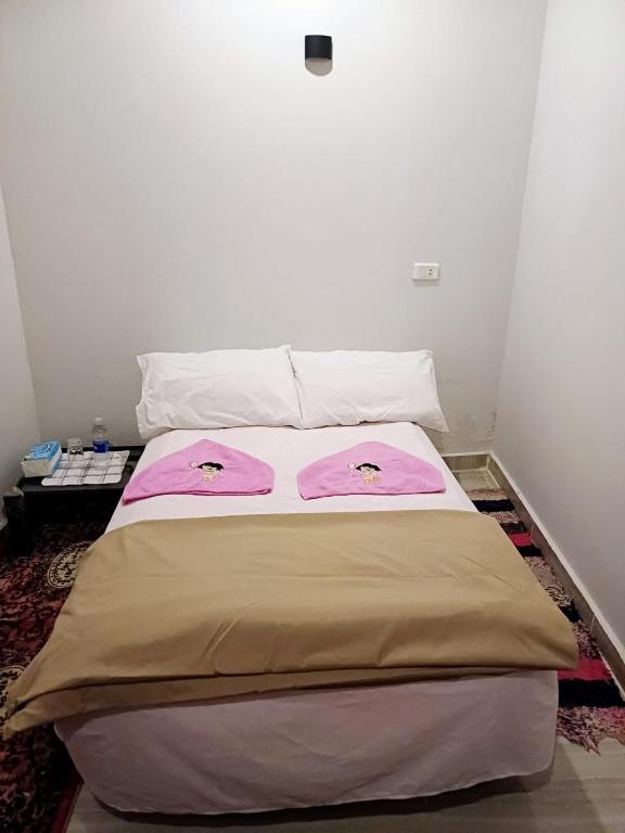 Postel nebo postele na pokoji v ubytování Nile Flower Guest House
