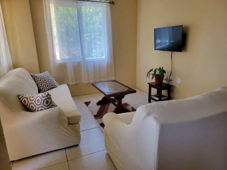 TV a/nebo společenská místnost v ubytování Garden View Hideaway
