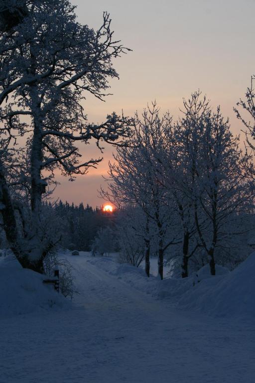 Gästrum Gnottnehult v zimě