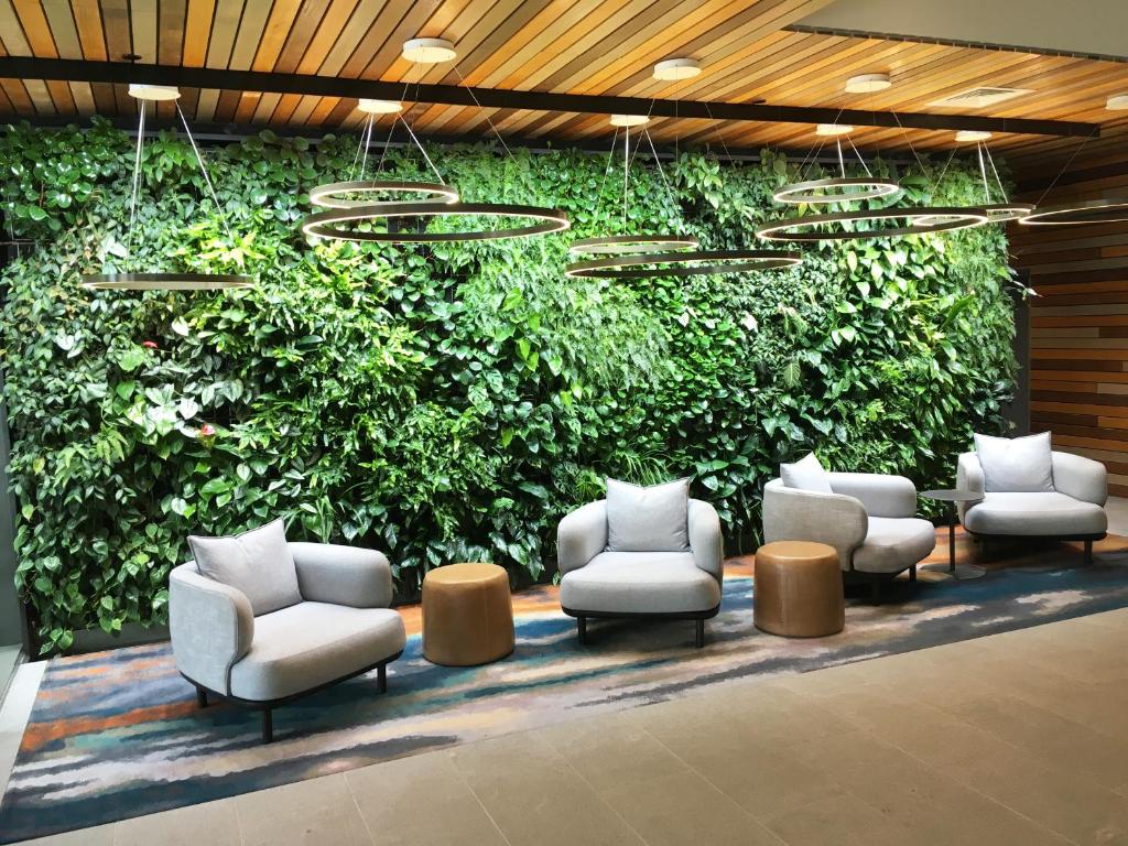 a large green wall with chairs and a wall with plants at Modern APT in Toowong with Mountain View in Brisbane