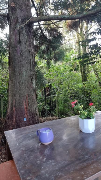 Wonderland - Resim 23