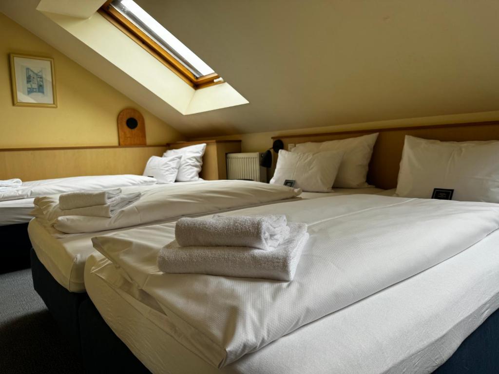 Arthotel ANA Aura - 三人间 - 带淋浴