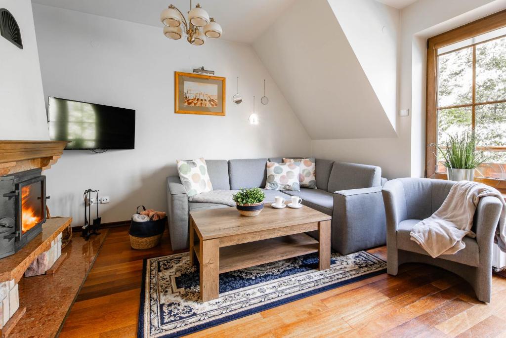 TV a/nebo společenská místnost v ubytování Apartamenty za Strugiem Zakopane