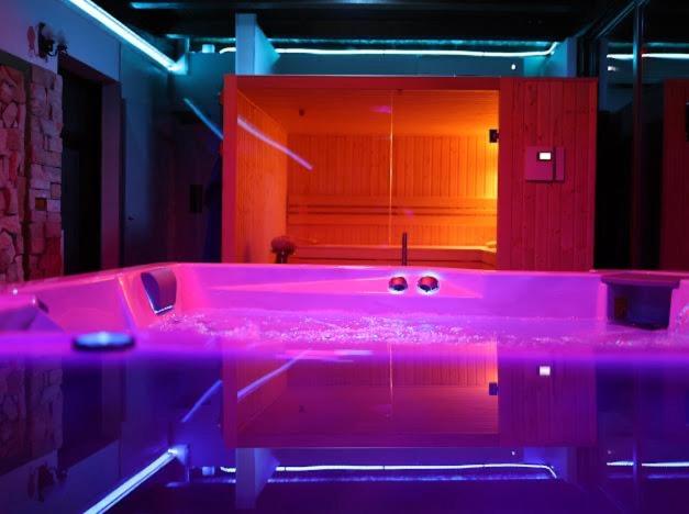 Fotografie z fotogalerie ubytování Hanu lui Gica Spa v destinaci Satu Mare