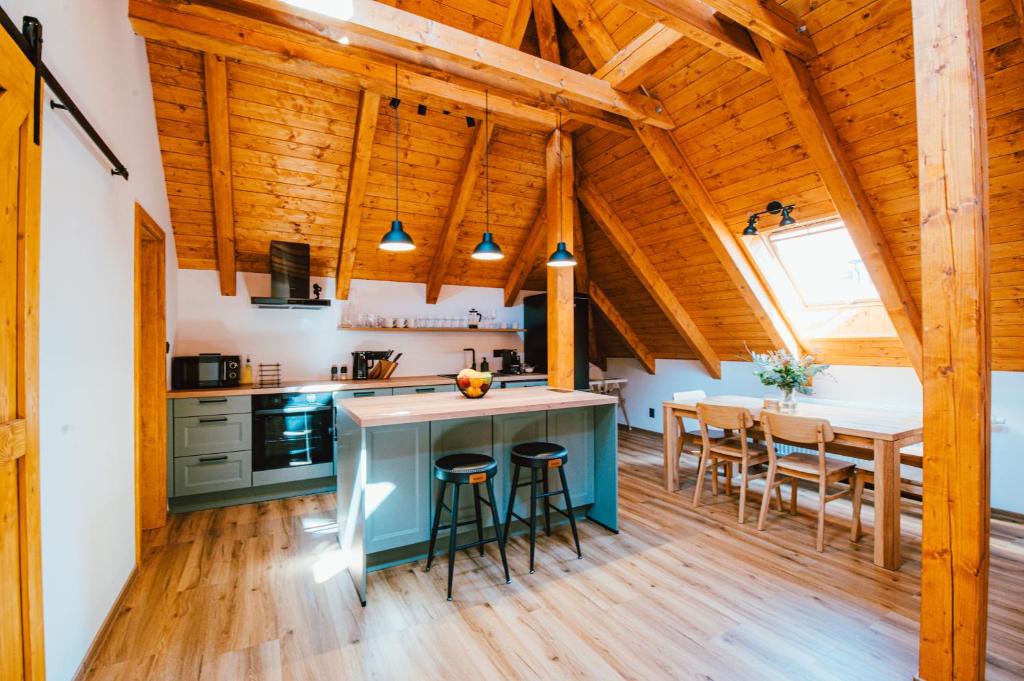 Kuchyň nebo kuchyňský kout v ubytování Apartmán Na Hradbách